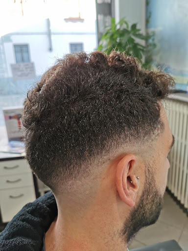 Matteosalon - Visual