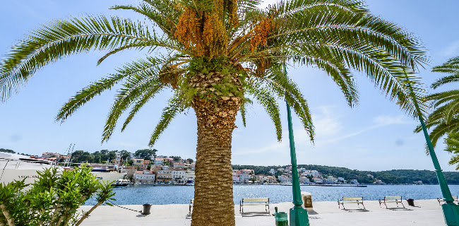 Z.T.O. "Futura" - Mali Lošinj