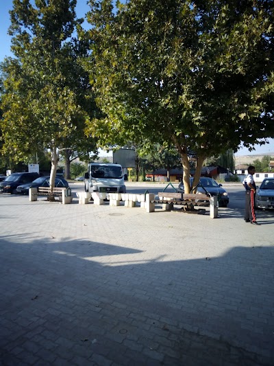 Photos of Zhito Marketi