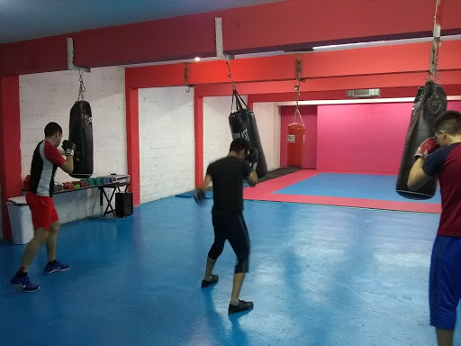 Knock Out Boxing Fitness - Thumbnail