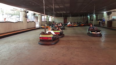 Photos of Busch Gardens Tampa Bay