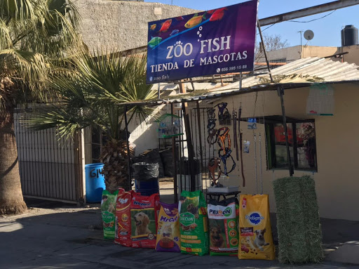 Zoo Fish - Visual