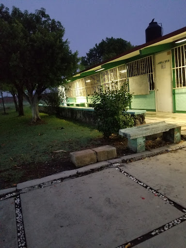 Secundaria Tecnica 2 - Thumbnail