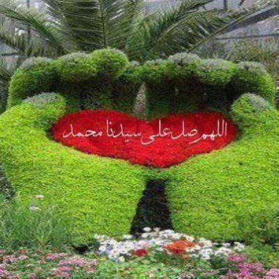 Photos of مسجد ابو حويطة الغربي