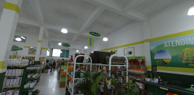 R. Francisco Torres, 799 - Centro, Curitiba - PR, 80060-130