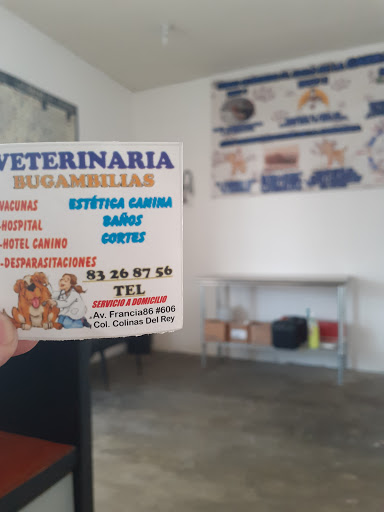 Veterinaria Bugambilias Gallery - Mexico