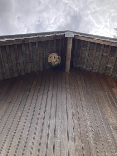 Comentarii opinii despre Buzz la Guêpe & Nuisibles (Désinsectisation Dératisation Désinfection)