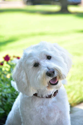 Hernando Animal Clinic - Thumbnail