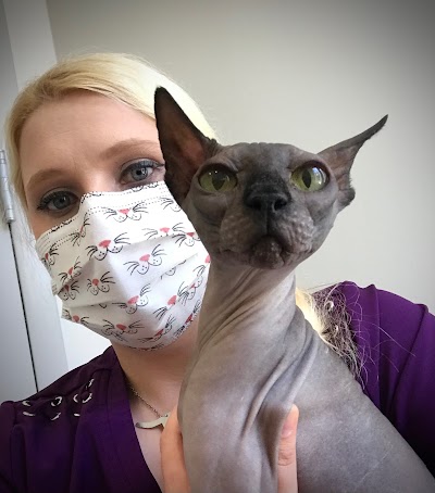 Cat Clinic of Asheville