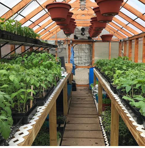 Ambrosia Farms & Garden Center - Thumbnail