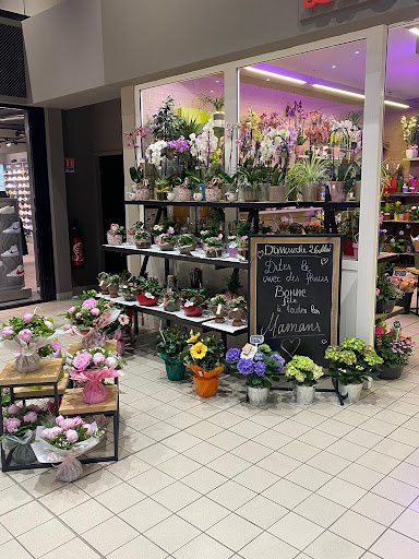 Fleurs Du Midi Sarl