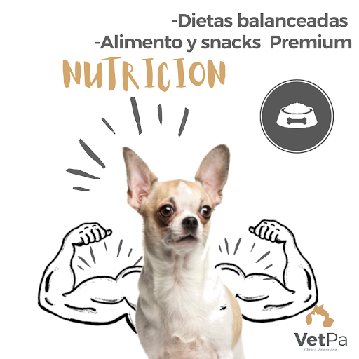 Clínica veterinaria vetpa