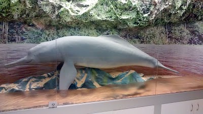 Photos of Museo del Mar