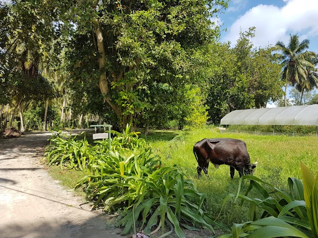 Anse Source d'Argent