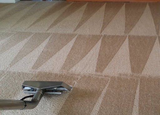 React Fast Carpet Cleaning - Visual