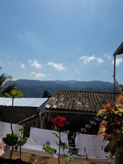 Photos of Terramaya
