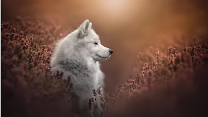 Fotograf och illustratör Selina Malik