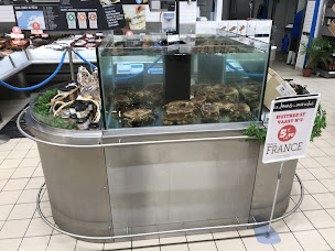 Photo n°12 de Calvados AQUARIUM à Graye-sur-Mer (Designer d'intérieur)