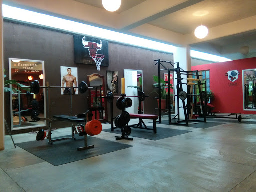 DIXON Boxing & Gym - Thumbnail