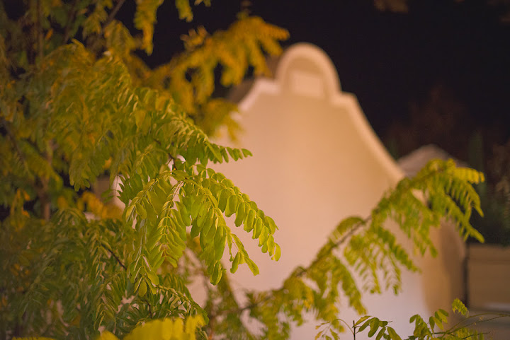 Last Word Franschhoek by null