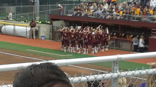 Siebert Field - Visual