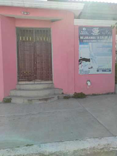 NUTRIOLOGA CINTHIA MINDALAY