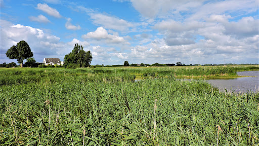 Oude Rijn