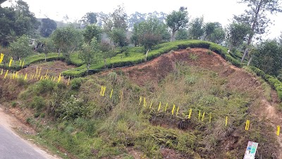 Photos of Ayos Hill Adamspeak