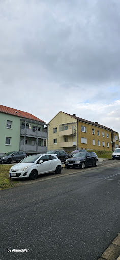 Scheinfeld - Visual