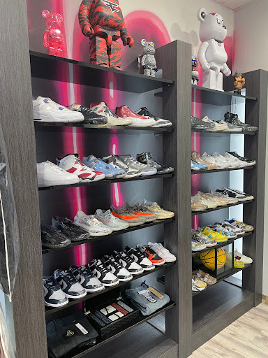 Showroom LI - Thumbnail