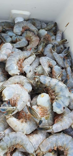 Camarones de Sinaloa - Thumbnail