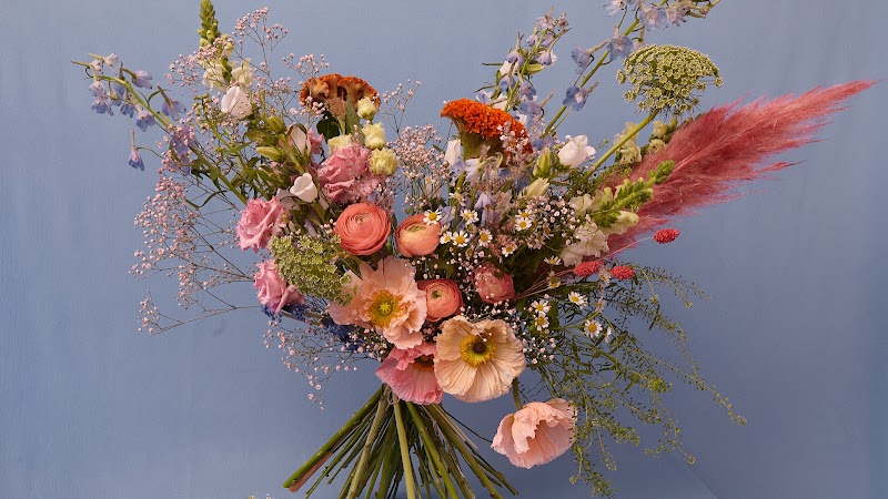 stems wilder photo 2