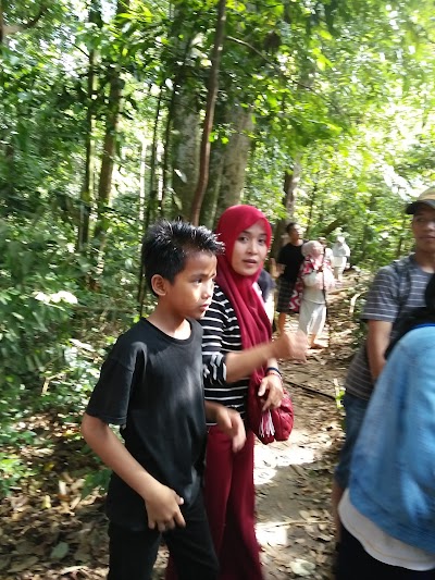 Photos of Bukit Lawang Conservasi