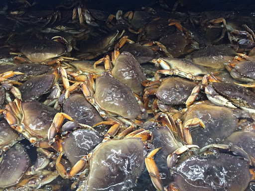 ABC Seafood Company - Thumbnail