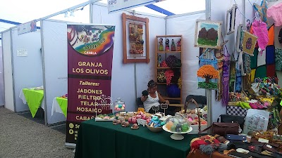 Photos of Hijuela Los Olivos. Mincha Sur