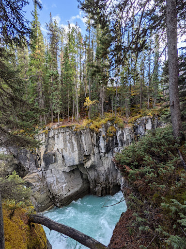 Sunwapta Falls - Visual