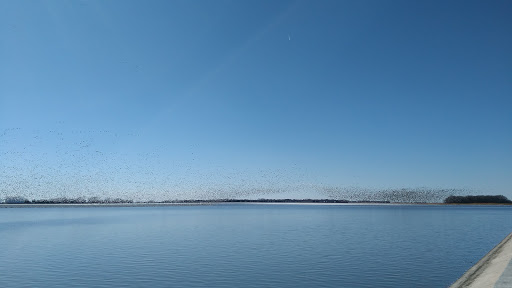 LAKE STOP - Visual