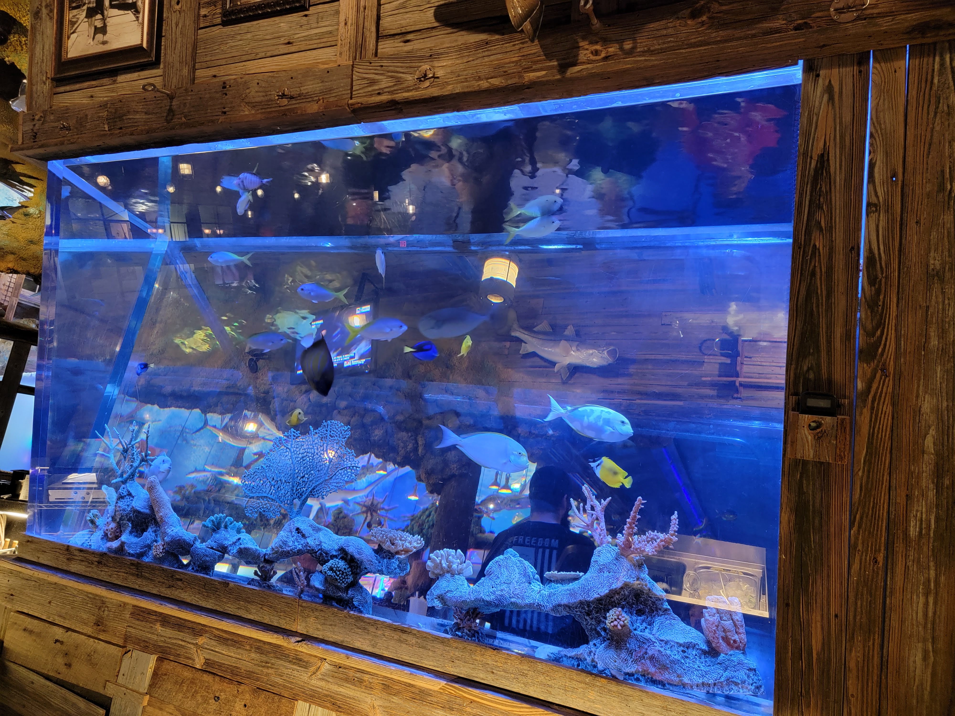 Bass Pro Shops