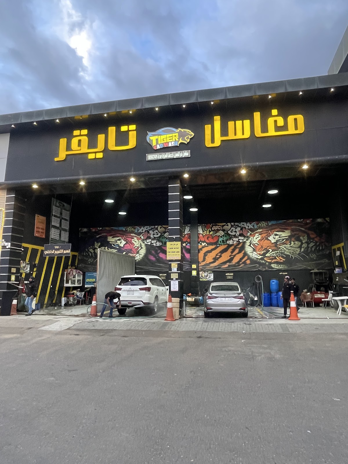 زيتي كار زيوت الجملة - صورة 4