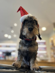 Photo n°13 de Lyse Helfer Coiffure et Institut de Beauté à Plobsheim (Salon de coiffure)