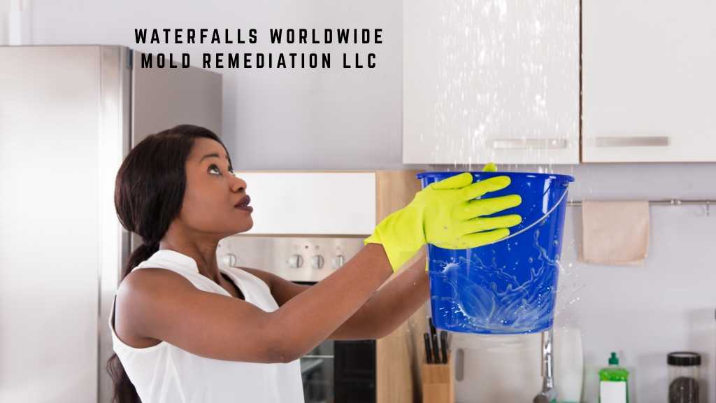 Waterfalls Worldwide Mold Remediation LLC photo