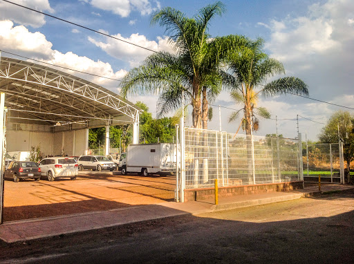 Servicio Mecánico Automotriz D'SOSA Jr.