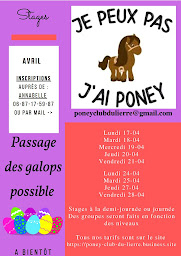 Photo n°19 de Poney Club du Lierre à Domloup (Centre équestre)