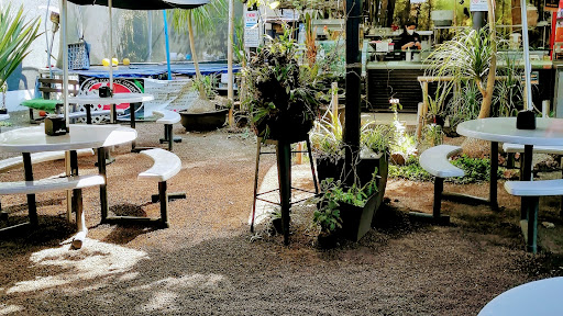 site_photo4