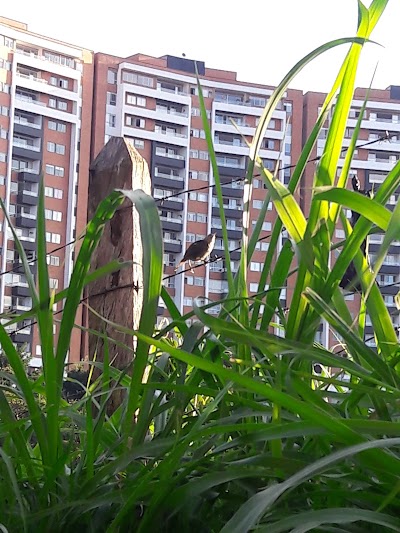Photos of Parque La Heliodora
