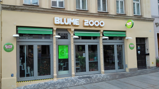BLUME2000 Altenburg - Visual