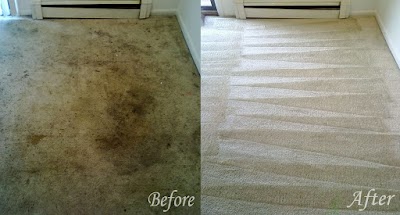 Florence Carpet Cleaning