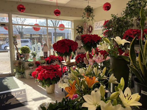 Needham Florist - Thumbnail