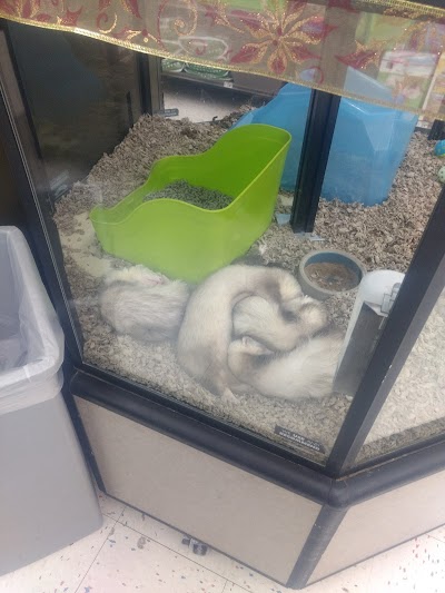 Petco