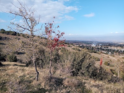 Lighter Cemetery